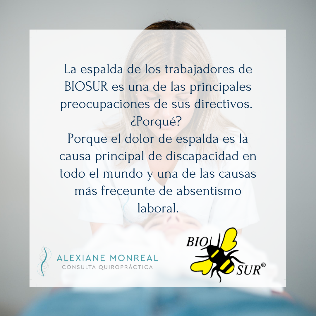 Colaboración con una empresa local