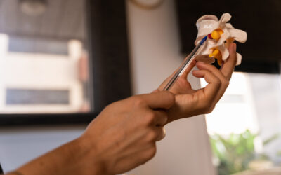 Entender la subluxación vertebral